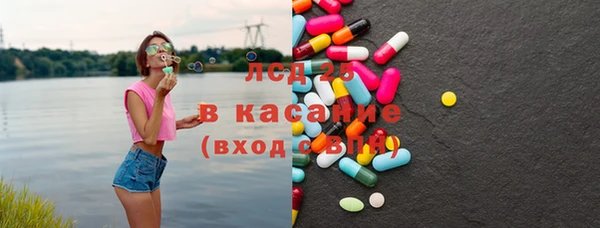 крисы Новозыбков