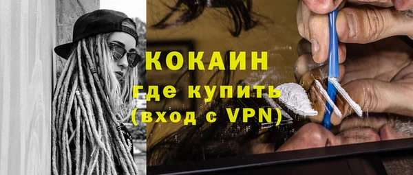 крисы Новозыбков