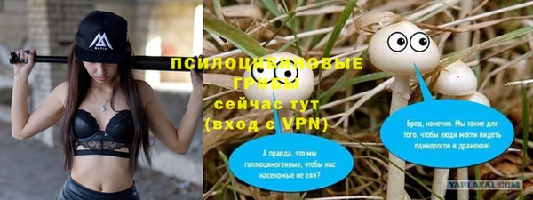 не бодяженный Алексин