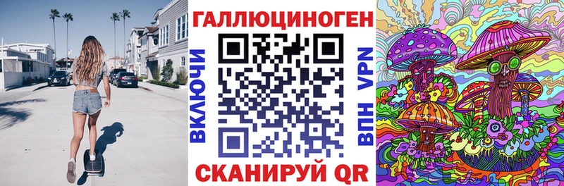 наркота Николаевск Псилоцибиновые грибы Cubensis