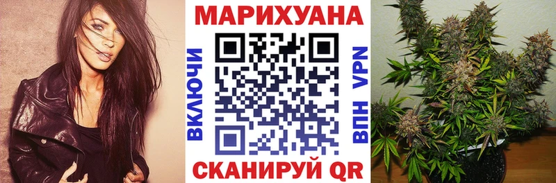 Марихуана SATIVA & INDICA  купить наркотик  Николаевск 